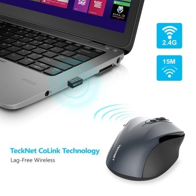 Mouse IMG 2 Mouse IMG 2