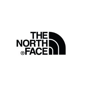 the north face logo