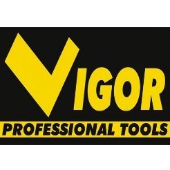 vigor logo IMG 4
