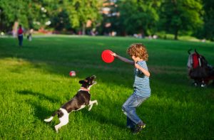 frisbee